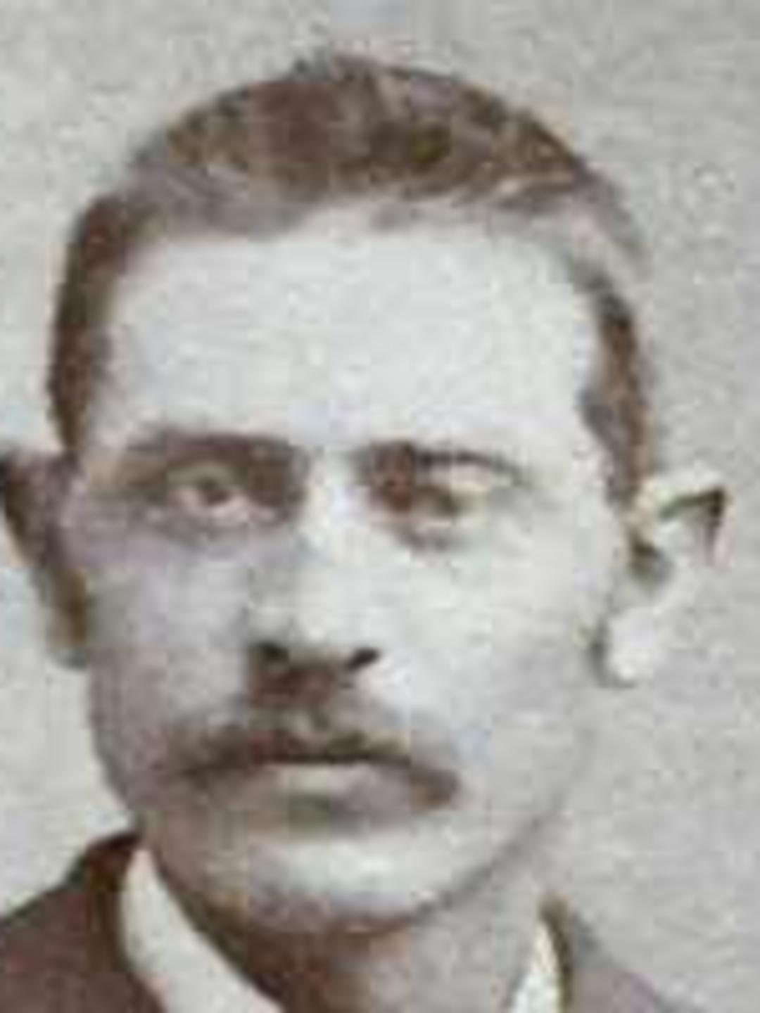 Hyrum Smith Palmer (1849 - 1893) Profile